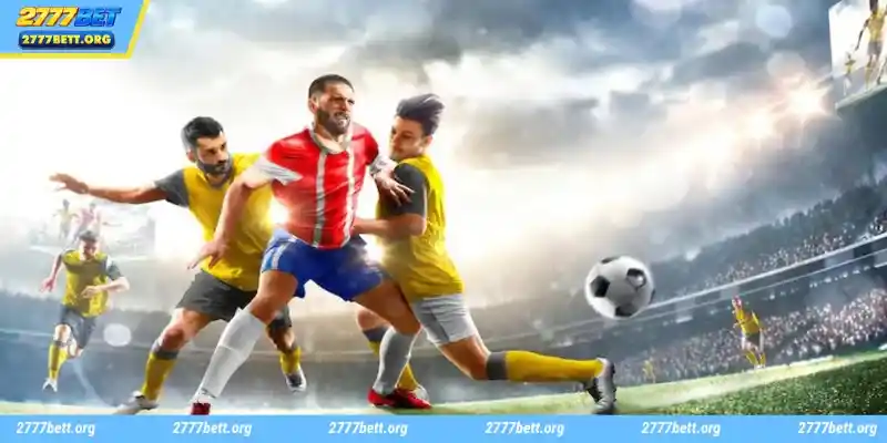 FB SPORTS