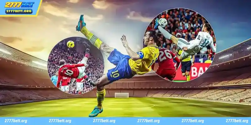 FB SPORTS is the top-rated lobby at the 2777bet betting site