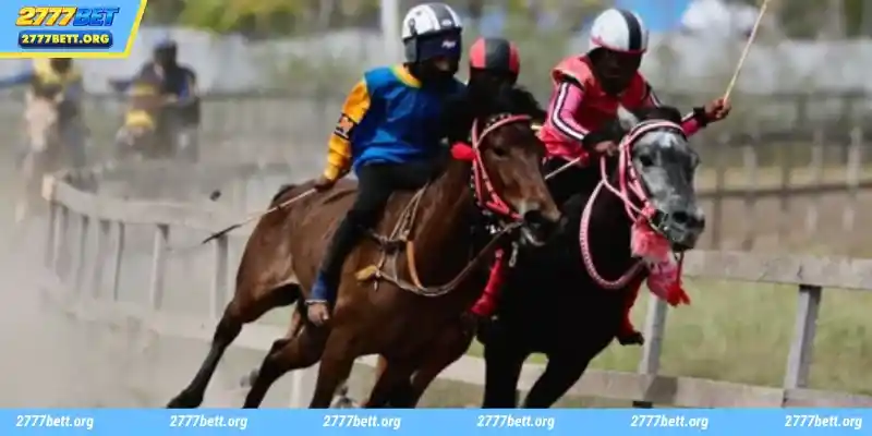 Excellent horse racing betting strategy